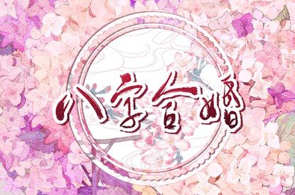 车牌测号码吉凶查询,车牌预测号码吉凶查询,试车牌号码吉凶,车牌查吉凶,车牌号吉凶查询,查车牌号吉凶查询